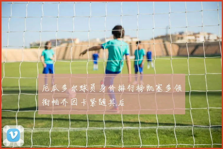 厄瓜多尔球员身价排行榜凯塞多领衔帕乔因卡紧随其后