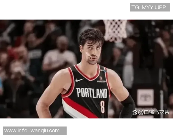 阿夫迪亚场均255分68板年薪1375万被誉为全联盟性价比之王