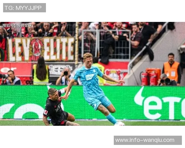 多特蒙德关注霍芬海姆前锋阿斯拉尼拜仁并不将其列为首要引援目标 多特蒙德关注霍芬海姆前锋阿斯拉尼拜仁并不将其列为首要引援目标